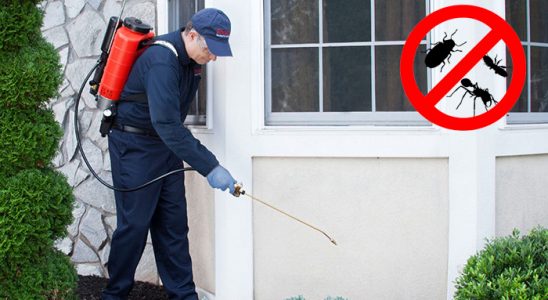 Aralık Fare İlaçlama böcek ilaçlama ve haşere kontrolü — ilaclama-tr.com